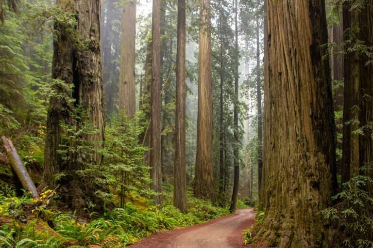 macOS Sequoia: Tutte le Novità del Nuovo Sistema Operativo Apple