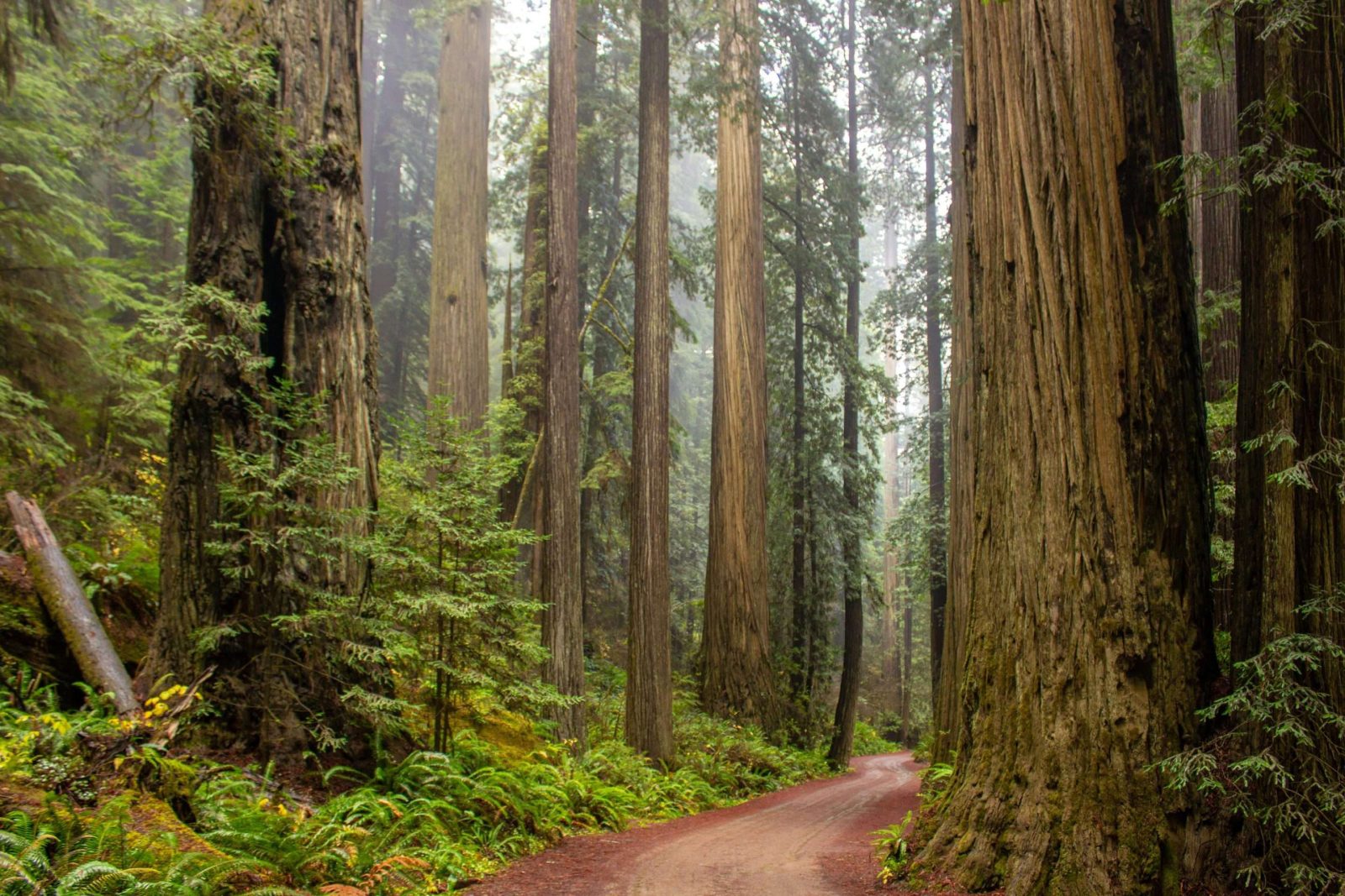 macOS Sequoia scaled